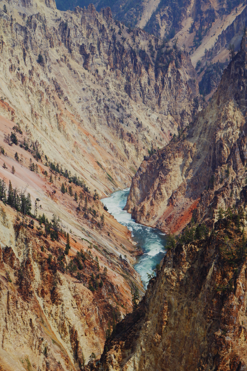 Illustration for article titled Photodump: Yellowstone National Park